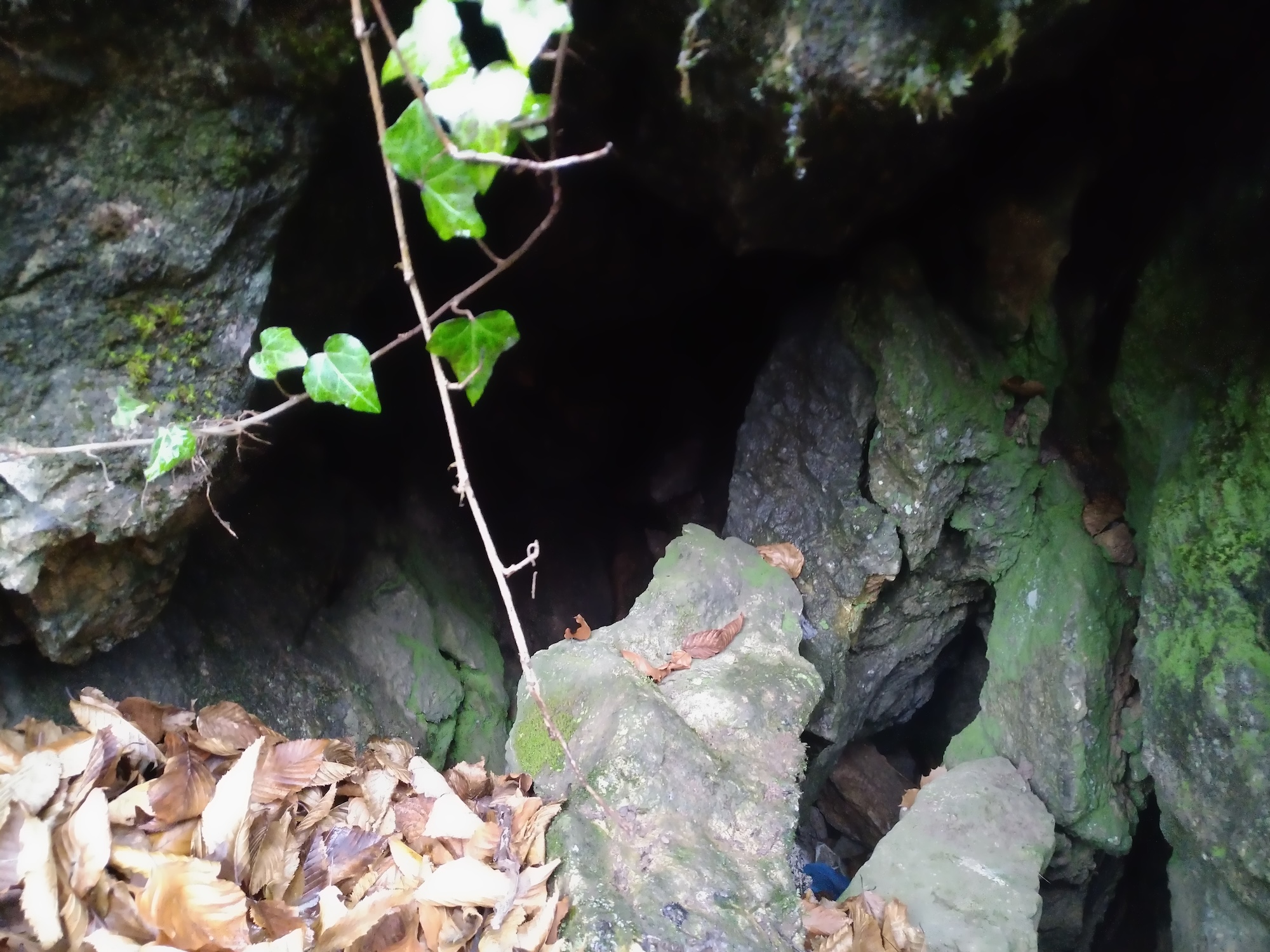 Peştera cu Apă de lângă Steierdorf - Image 2